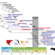 An updated map of theropod evolution. Image: S. L. Brusatte et al., 2016/PNAS